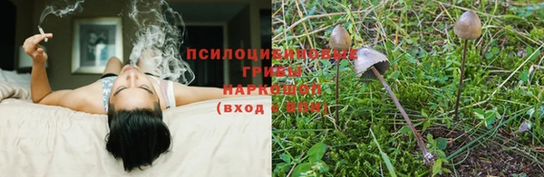 стафф Сатка