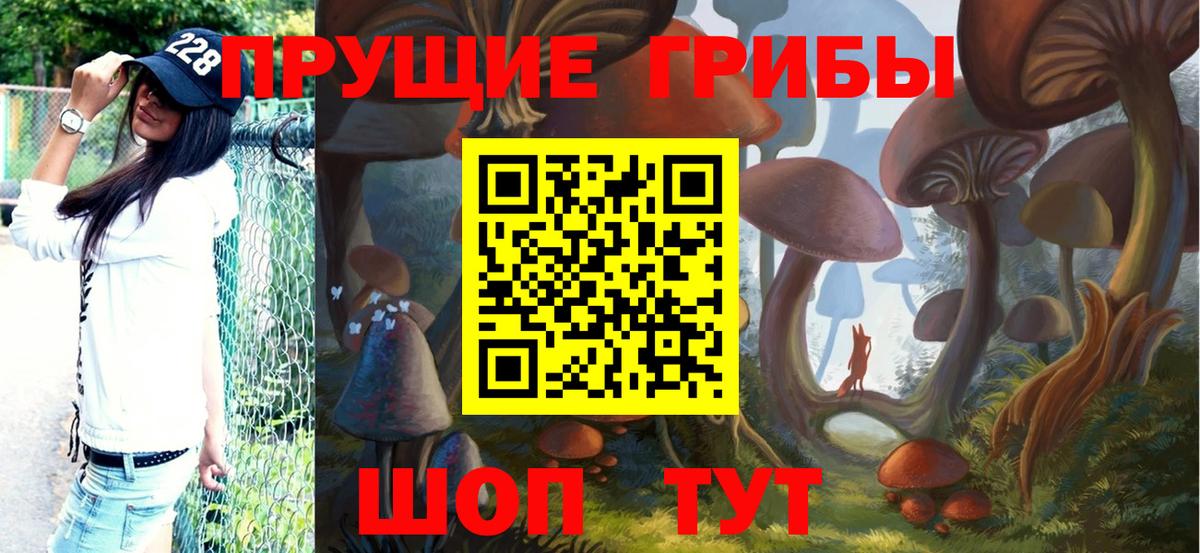 Псилоцибиновые грибы Cubensis  Вход с VPN  Гулькевичи  Псилоцибиновые грибы ЛСД 