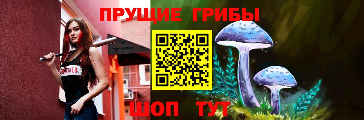 Псилоцибиновые грибы мухоморы Гулькевичи